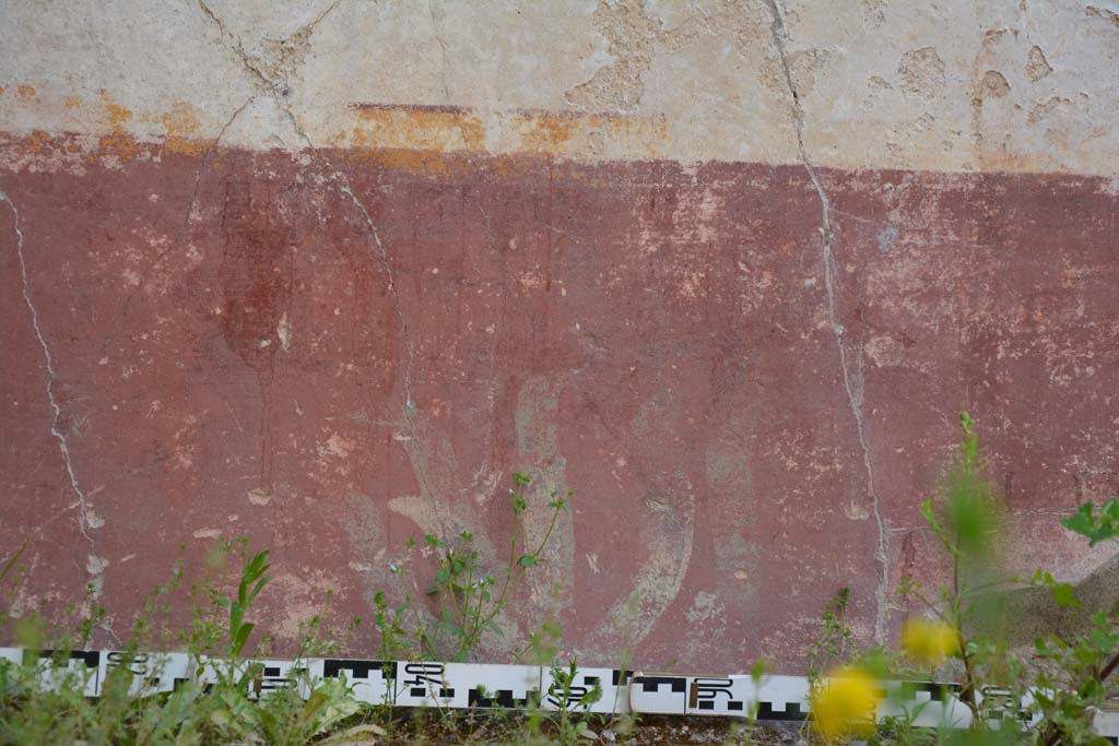 IX.5.9 Pompeii. May 2017. Room “o”, detail from red zoccolo on north wall, with panels with painted plants.
Foto Christian Beck, ERC Grant 681269 DÉCOR.