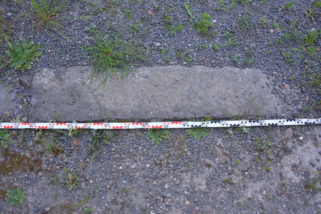 IX.5.9 Pompeii. May 2017. Room �p�, detail of doorway threshold towards east end.
Foto Christian Beck, ERC Grant 681269 D�COR.
