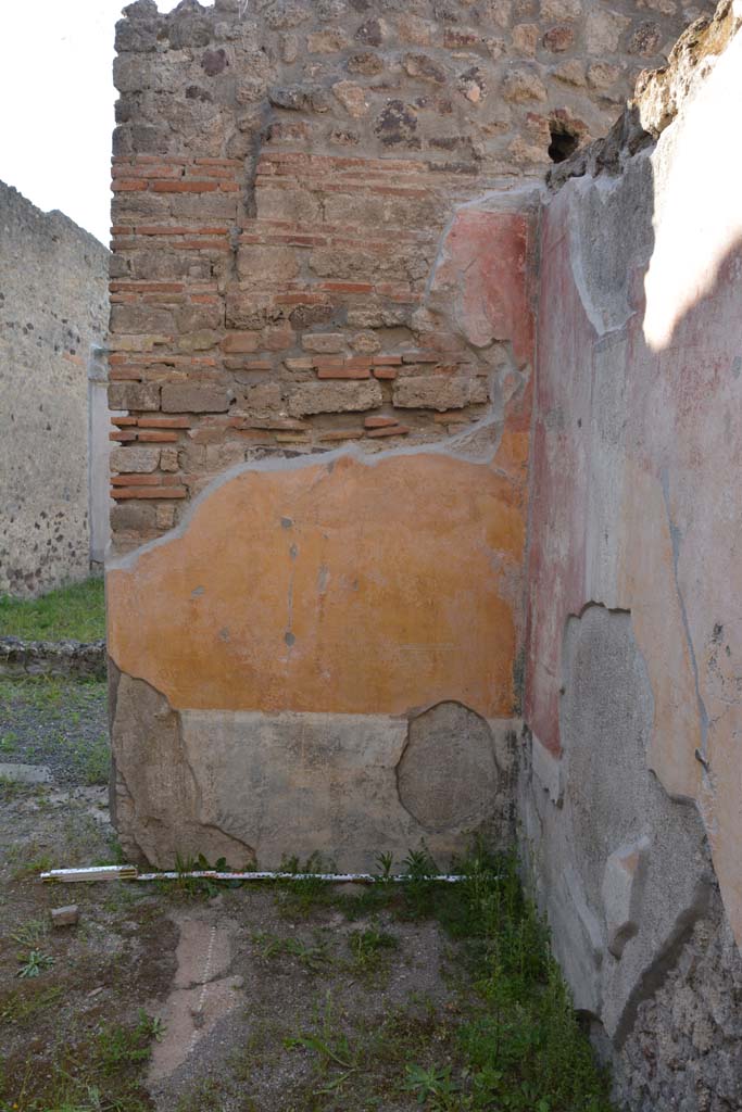 IX.5.9 Pompeii. May 2017. Room �p�, north wall in north-east corner.
Foto Christian Beck, ERC Grant 681269 D�COR.
According to PPM �
The north wall was also painted with a black zoccolo with painted plants in panels; the middle zone was a yellow painted panel with carpet border of semicircles. The IV Style decoration in this room had simple paintings of animals.
See Carratelli, G. P., 1990-2003. Pompei: Pitture e Mosaici. IX (9). Roma: Istituto della enciclopedia italiana, (p.525).

