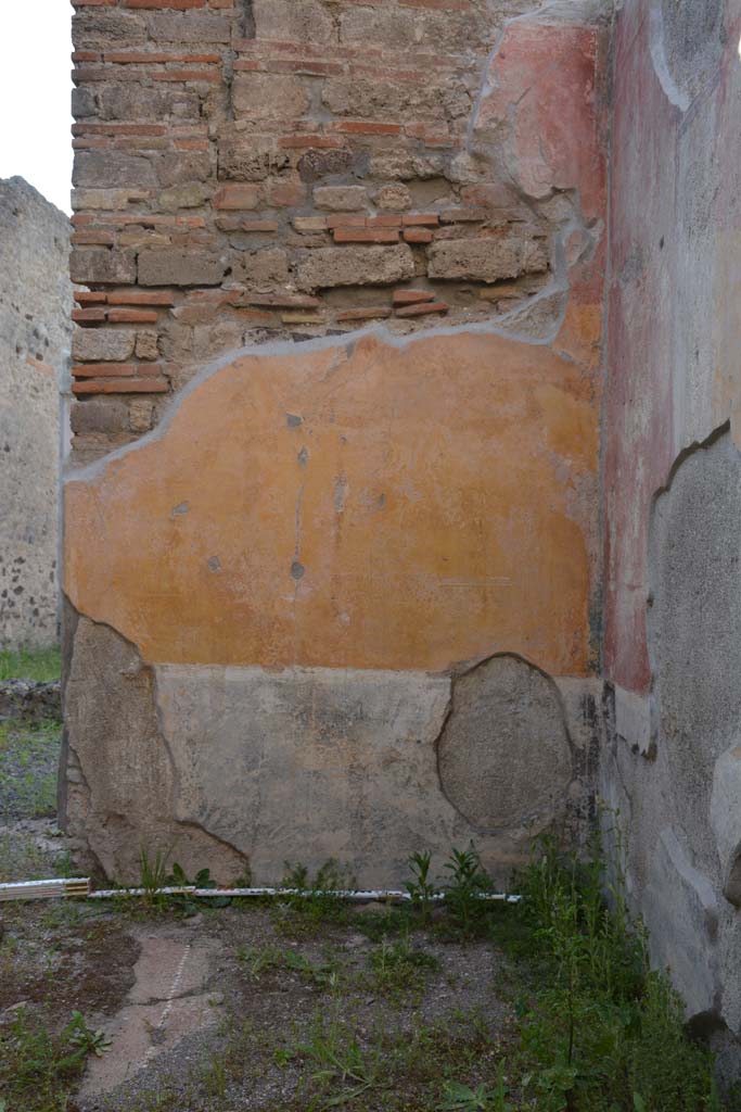 IX.5.9 Pompeii. May 2017. Room �p�, detail from north wall in north-east corner.
Foto Christian Beck, ERC Grant 681269 D�COR.

