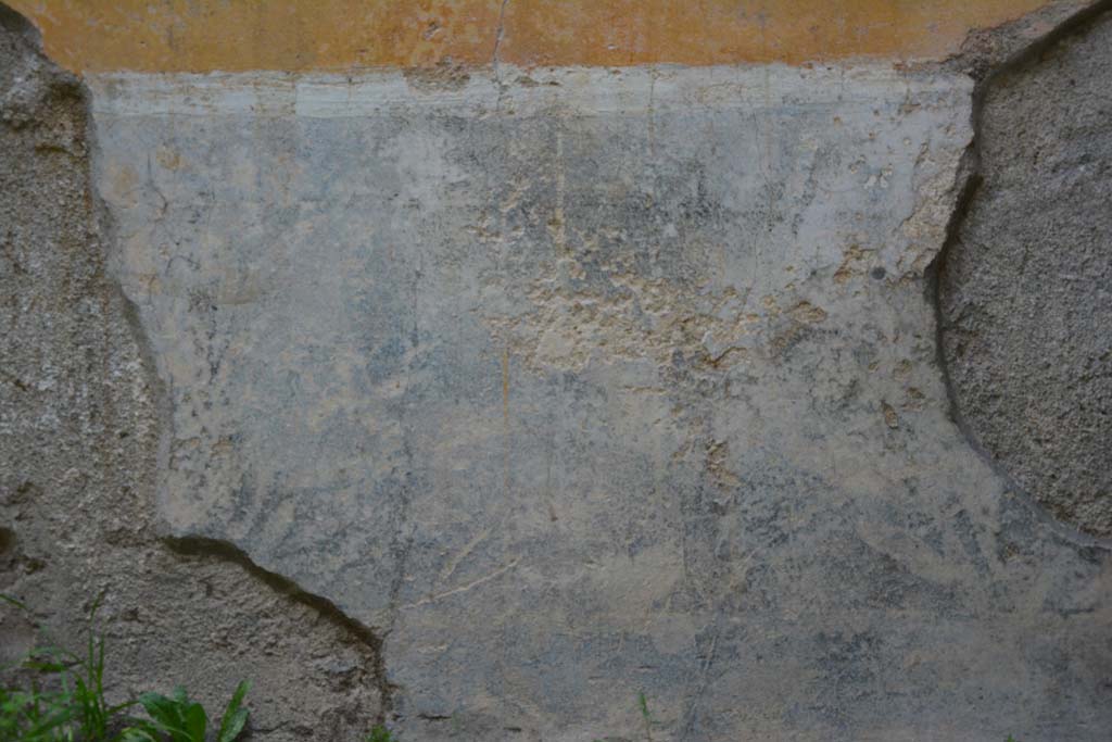 IX.5.9 Pompeii. March 2017. Room �p�, detail from zoccolo, according to PPM � this was painted black.
Foto Christian Beck, ERC Grant 681269 D�COR.
