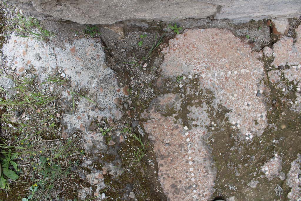 IX.5.9 Pompeii. May 2019. Room p, flooring near north wall and doorway, on left.  
Foto Christian Beck, ERC Grant 681269 D�COR
