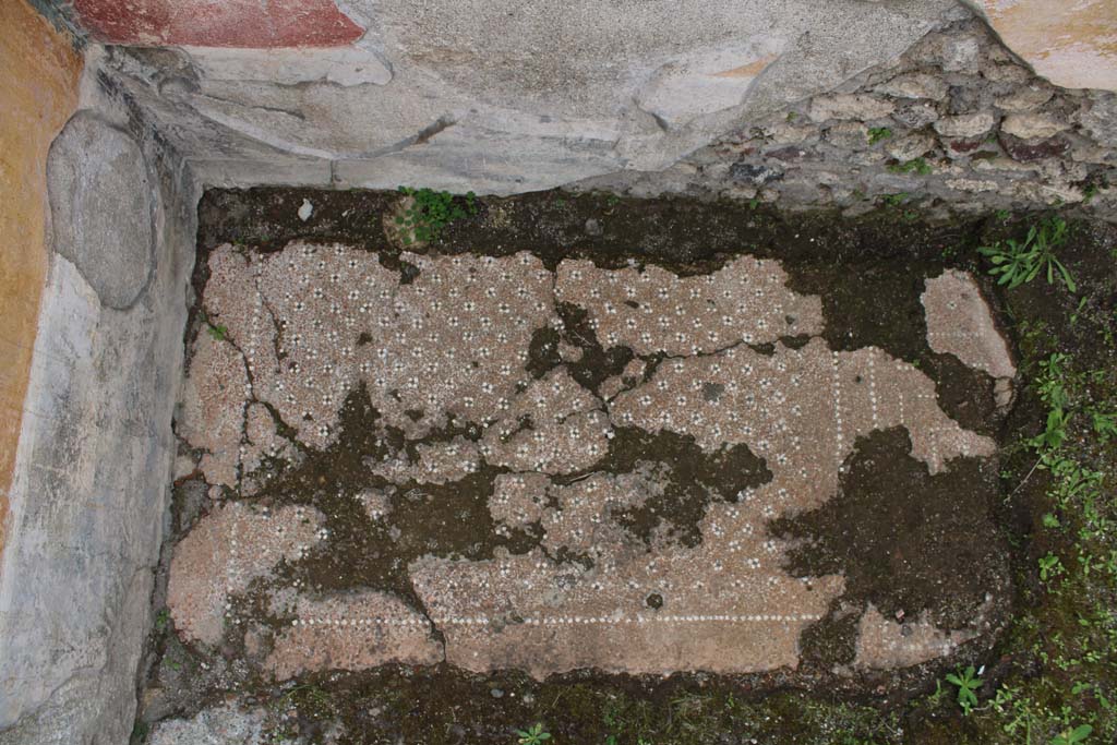 IX.5.9 Pompeii. May 2019. Room p, looking towards flooring in north-east corner.  
Foto Christian Beck, ERC Grant 681269 D�COR

