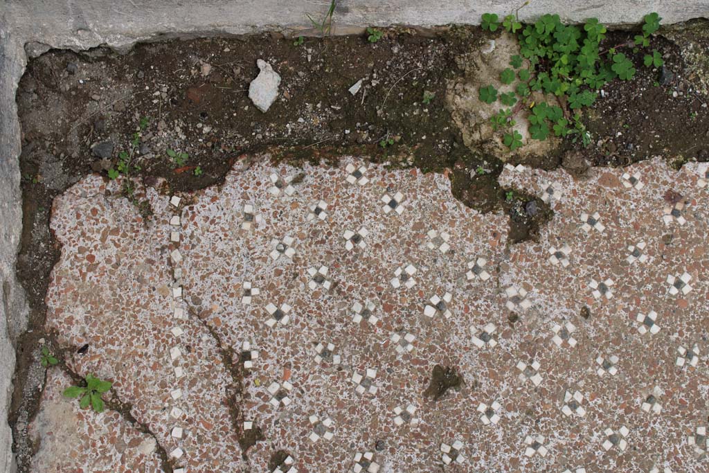 IX.5.9 Pompeii. May 2019. Room p, detail of flooring of cocciopesto with black and white tesserae in north-east corner.  
Foto Christian Beck, ERC Grant 681269 D�COR

