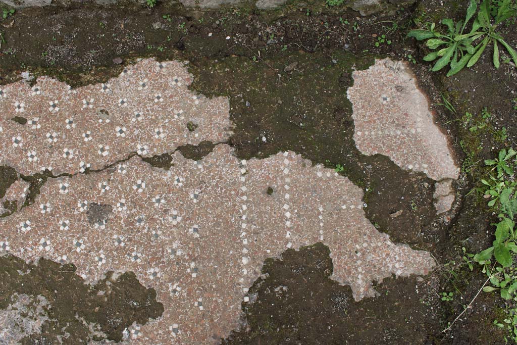 IX.5.9 Pompeii. May 2019. Room p, detail of flooring at south end.   
Foto Christian Beck, ERC Grant 681269 D�COR
