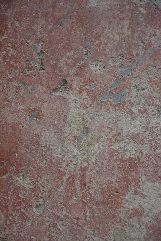 IX.5.9 Pompeii. March 2017. Room �p�, detail from centre of red side panel.
Foto Christian Beck, ERC Grant 681269 D�COR.
