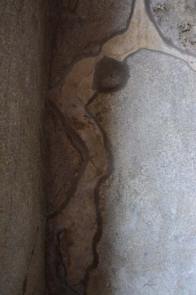 IX.5.9 Pompeii. March 2017. Room �e�, detail from south wall in south-east corner.
Foto Christian Beck, ERC Grant 681269 D�COR.
