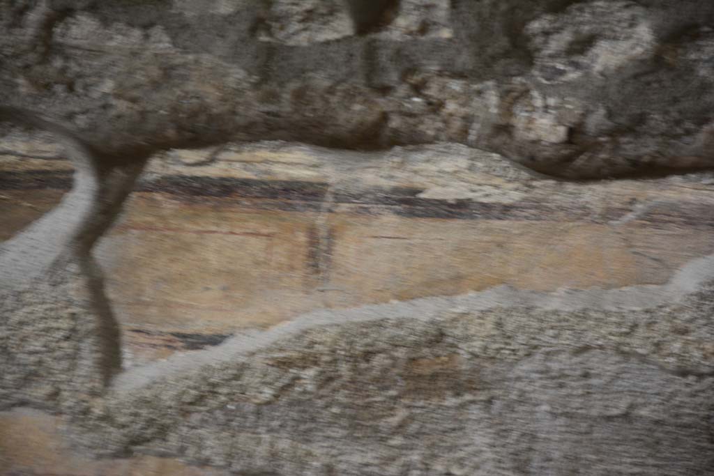 IX.5.9 Pompeii. March 2017. Room �e�, detail from upper north wall.
Foto Christian Beck, ERC Grant 681269 D�COR.
