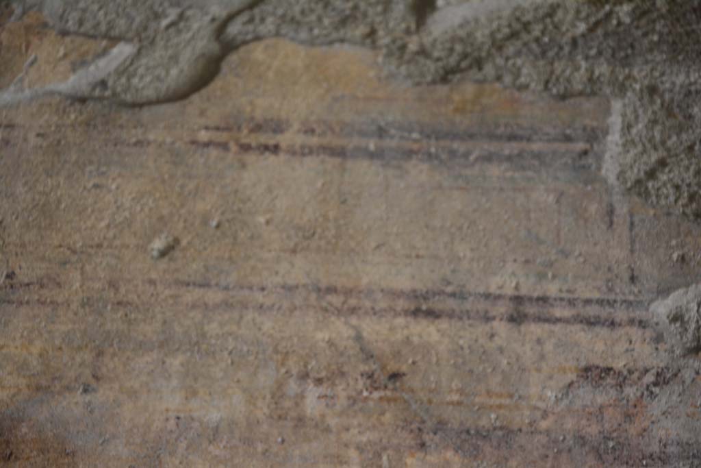 IX.5.9 Pompeii. March 2017. Room �e�, detail from north wall.
Foto Christian Beck, ERC Grant 681269 D�COR.
