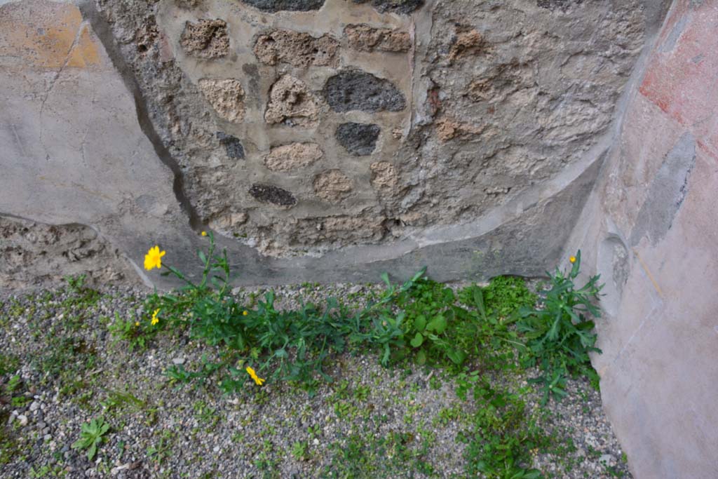 IX.5.9 Pompeii. March 2017. Room �g�, lower north wall at east end.
Foto Christian Beck, ERC Grant 681269 D�COR.

