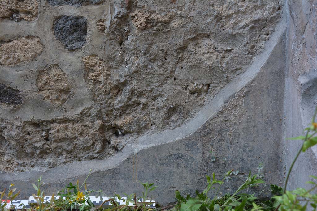 IX.5.9 Pompeii. May 2017. Room �g�, detail of lower north wall zoccolo in north-east corner.
Foto Christian Beck, ERC Grant 681269 D�COR.
