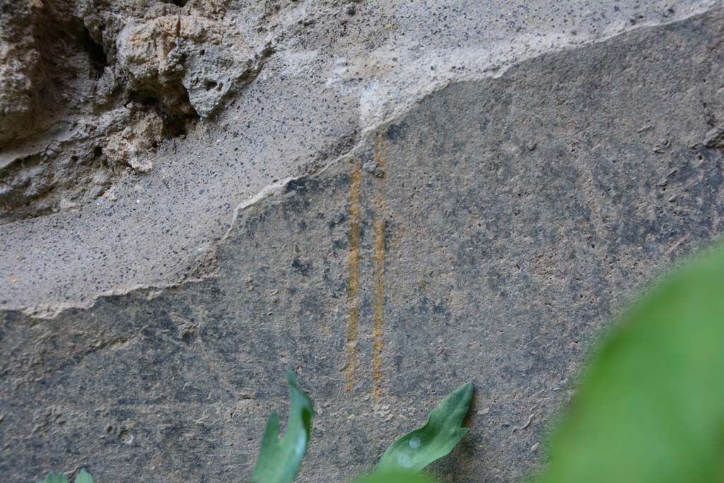 IX.5.9 Pompeii. March 2017. Room �g�, detail from painted lower zoccolo from north wall in north-west corner.
Foto Christian Beck, ERC Grant 681269 D�COR.

