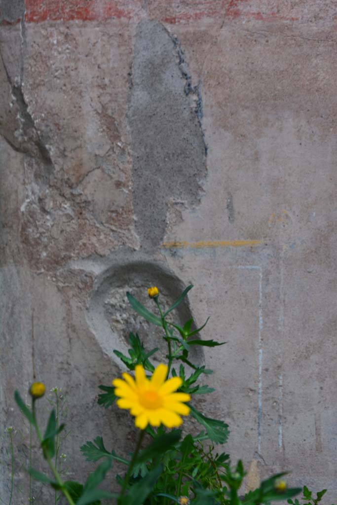 IX.5.9 Pompeii. March 2017. Room �g�, detail from lower east wall in north-east corner.
Foto Christian Beck, ERC Grant 681269 D�COR.

