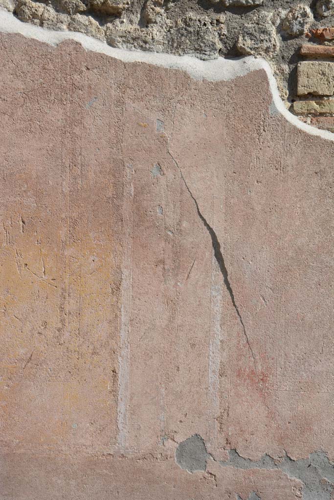 IX.5.9 Pompeii. May 2017. 
Room �g�, detail from south wall on west side of central yellow panel.
Foto Christian Beck, ERC Grant 681269 D�COR.

