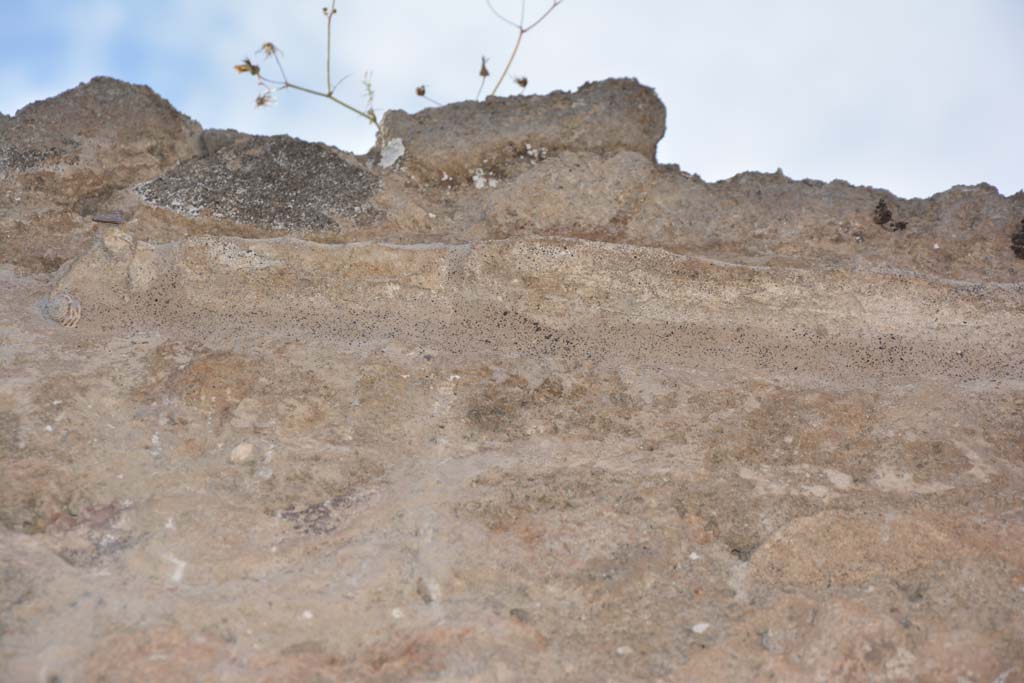 IX.5.9 Pompeii. May 2017. Room �h�, detail from upper north wall at east end.
Foto Christian Beck, ERC Grant 681269 D�COR.

