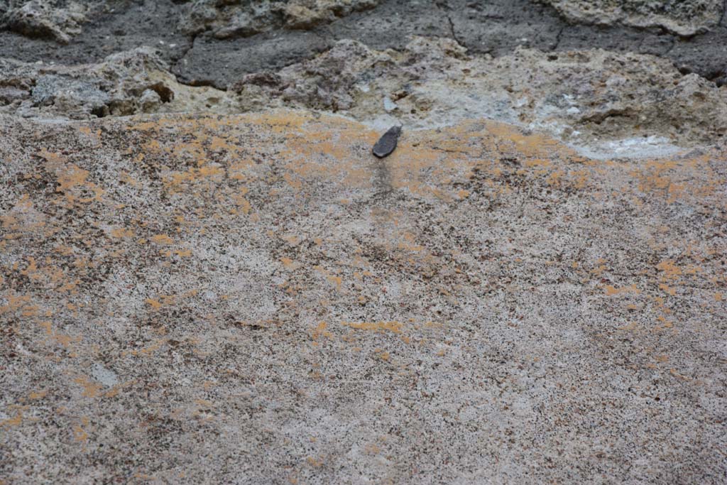 IX.5.9 Pompeii. March 2017. Room �h�, upper east wall.
Foto Christian Beck, ERC Grant 681269 D�COR.
