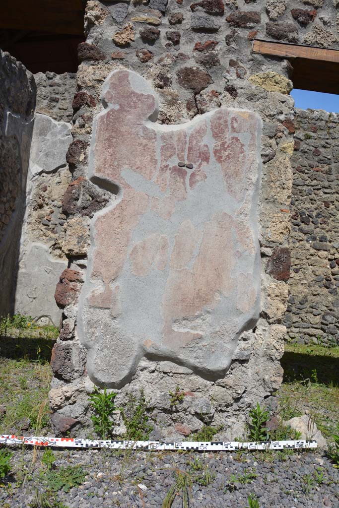 IX.5.9 Pompeii. May 2017.
Room “i”, detail of painted plaster on pilaster between two doorways of room “m”.
Foto Christian Beck, ERC Grant 681269 DÉCOR.