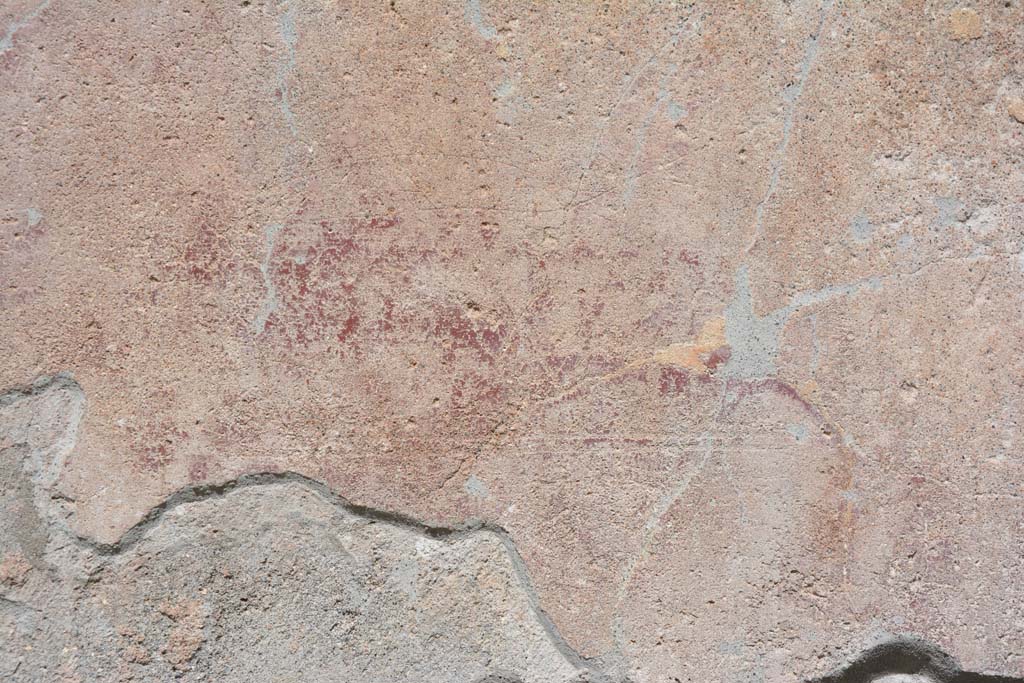 IX.5.9 Pompeii. May 2017.
Room “i”, detail of painted decoration from east wall of portico on north side of doorway to room “n”.
Foto Christian Beck, ERC Grant 681269 DÉCOR.
