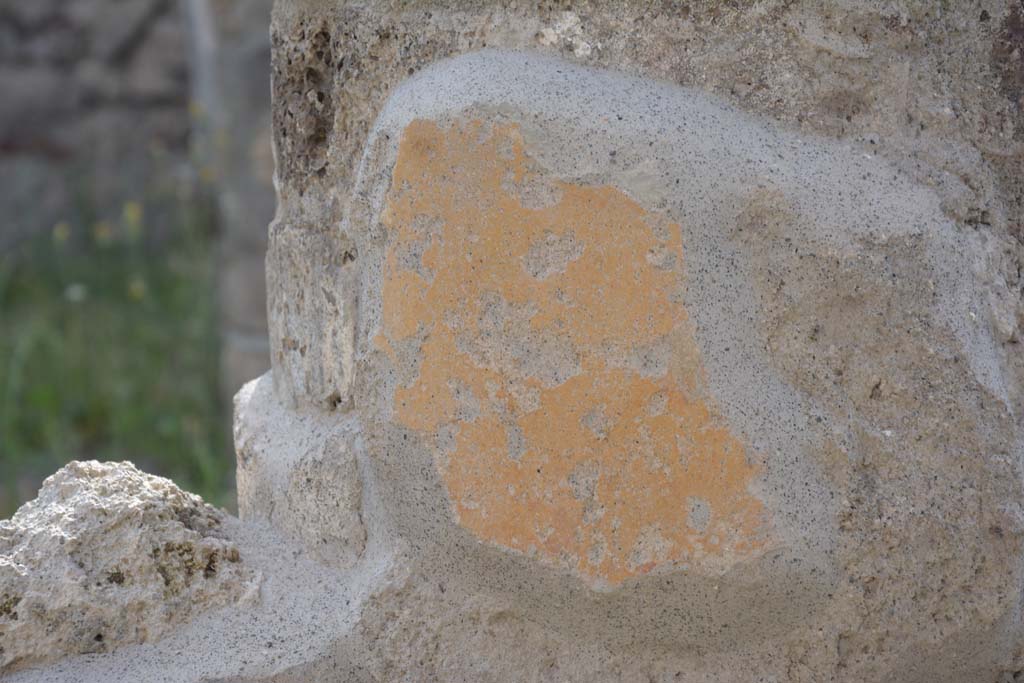 IX.5.9 Pompeii. May 2017. Room �i�, detail from painted column in north-east corner of portico.  
Foto Christian Beck, ERC Grant 681269 D�COR.

