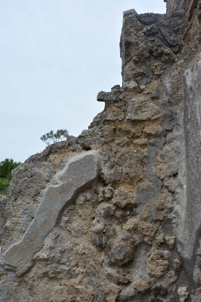 IX.5.10 Pompeii. May 2017. Detail from upper north wall in north-east corner.
Foto Christian Beck, ERC Grant 681269 D�COR.
