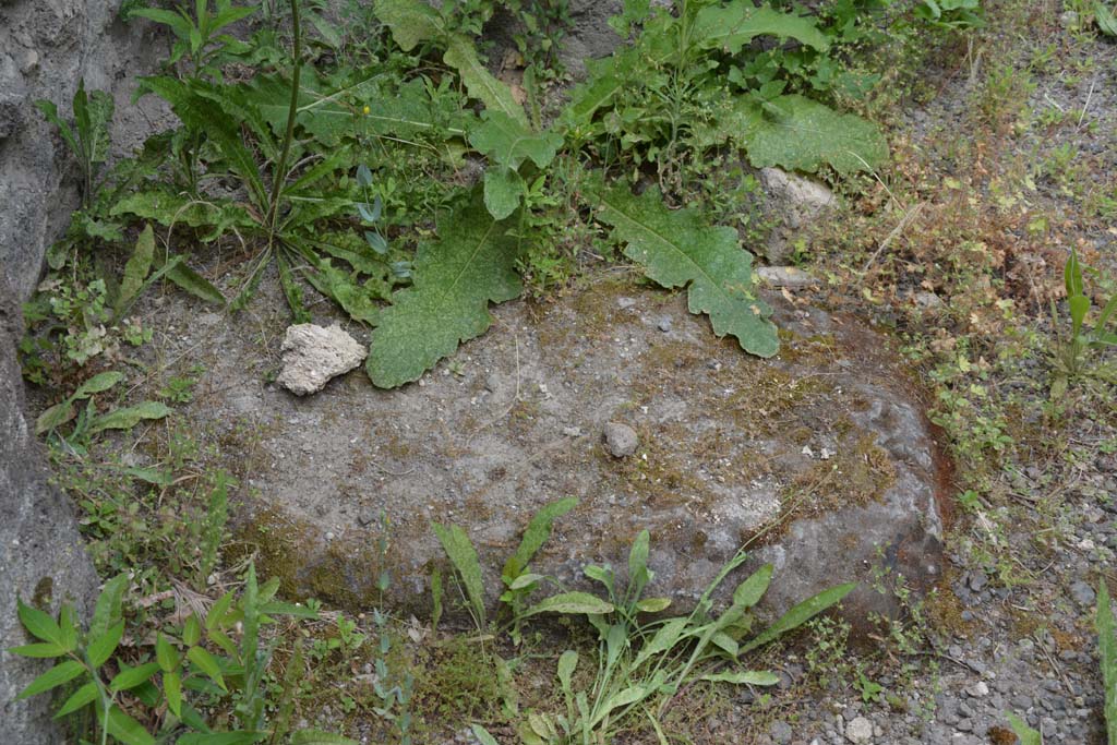 IX.5.10 Pompeii. May 2017. Detail from near west wall.
Foto Christian Beck, ERC Grant 681269 D�COR.
