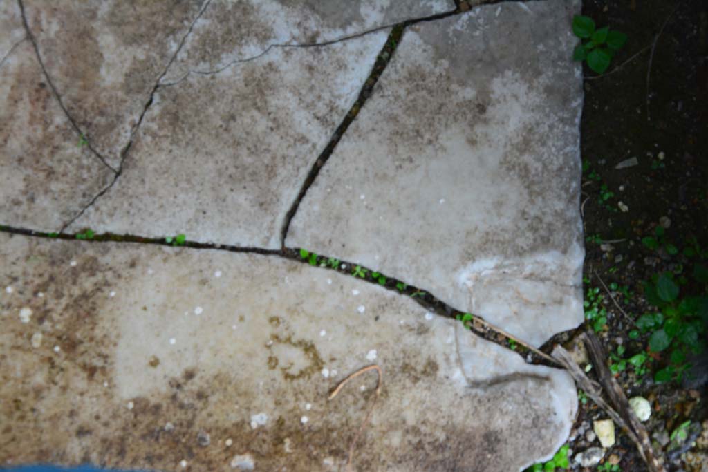 IX.5.11 Pompeii. March 2017. Room f, detail of marble doorway threshold.    
Foto Christian Beck, ERC Grant 681269 D�COR.
