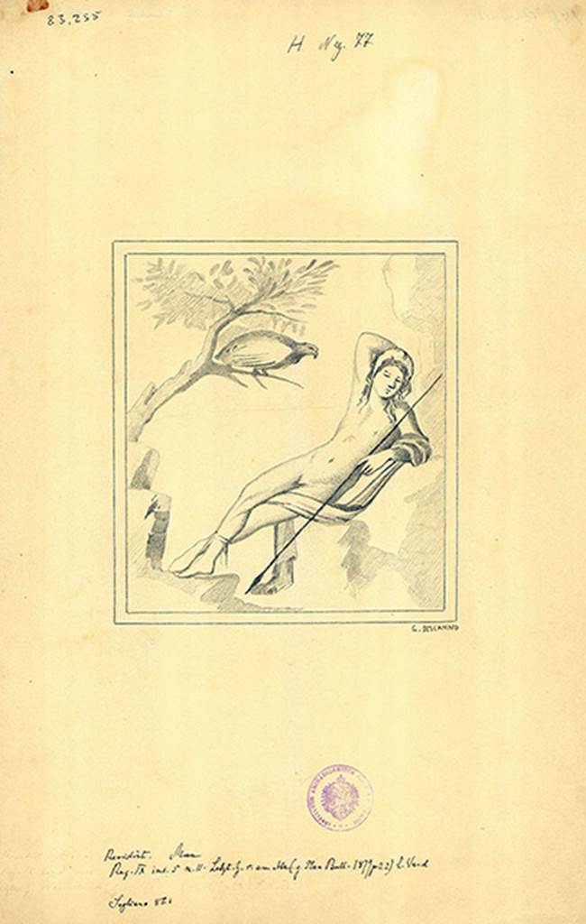 IX.5.11 Pompeii. Copy by Discanno of painting of Ganymede from south wall of cubiculum room 7.
DAIR 83.255. Photo � Deutsches Arch�ologisches Institut, Abteilung Rom, Arkiv.
According to Fiorelli, this painting (0.37 x 0.39) represented sleeping Ganymede (on the left?), sleeping lying on a rock, holding a hunting spear in his left hand and placing his right hand on top of his head, adorned with a nimbus. He was all naked except for a purple cloak and green shoes.
To his right (our left) we see the eagle, it was in the attitude of flying from the branch towards the sleeping hunter.
See Notizie degli Scavi di Antichit�, 1877, (p.249)
According to Mau, found on the left wall (0.40 high x 0.37 wide) was Ganymede (with brown complexion) sleeping sitting on a rock, with feet crossed to the left wearing green boots: his right arm resting on his head, with his face looking frontwards, and covered by a beret; holding in his left hand (his arm was wrapped in his cloak which also lay across his left thigh) was a spear.  On a tree on the left was the Eagle of ugly form and poor dimensions, turned towards the young man. 
See Bullettino dell�Instituto di Corrispondenza Archeologica (DAIR), 1879, (p.203, no: 63).