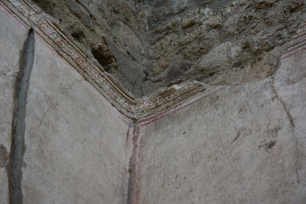 IX.5.11 Pompeii. March 2017. Room e, detail of stucco frieze in upper south-west corner.  
Foto Christian Beck, ERC Grant 681269 D�COR.
