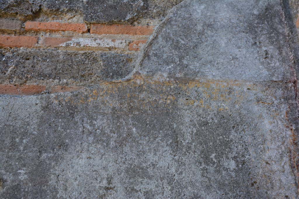 IX.5.11 Pompeii. May 2017. Room d, east wall, detail of remaining painted decoration.
Foto Christian Beck, ERC Grant 681269 D�COR.

