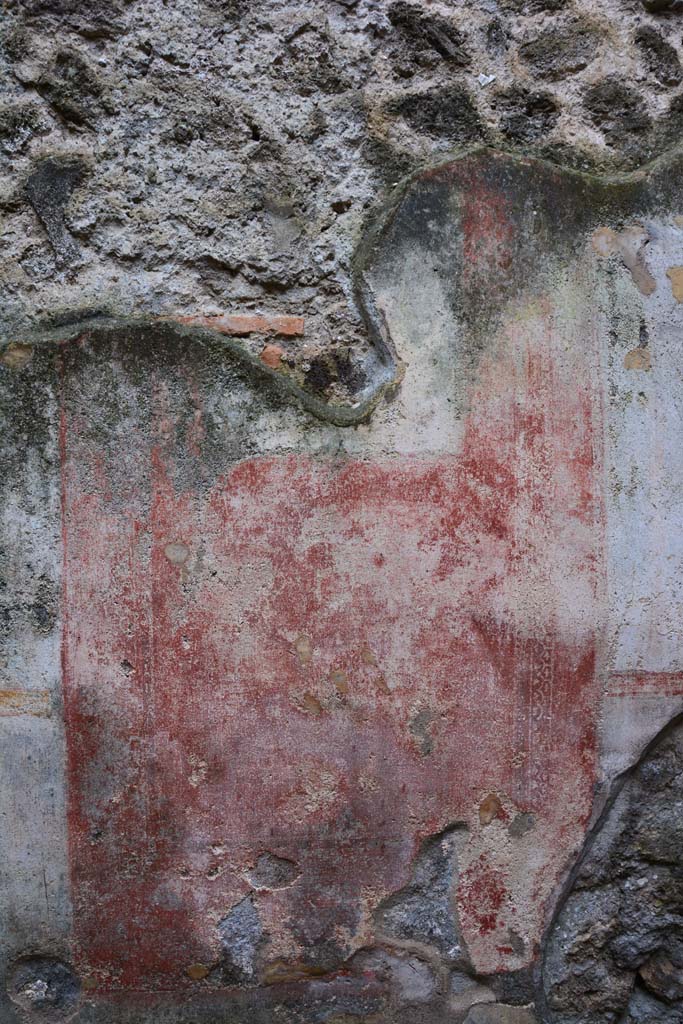 IX.5.11 Pompeii. March 2017. Room d, central panel from south wall.     
Foto Christian Beck, ERC Grant 681269 D�COR
