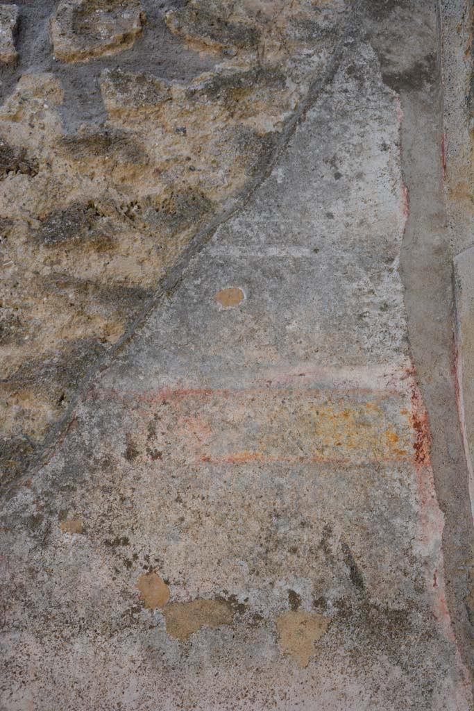IX.5.11 Pompeii. May 2017. 
Room d, detail of painted decoration at upper west end of south wall.
Foto Christian Beck, ERC Grant 681269 D�COR.
