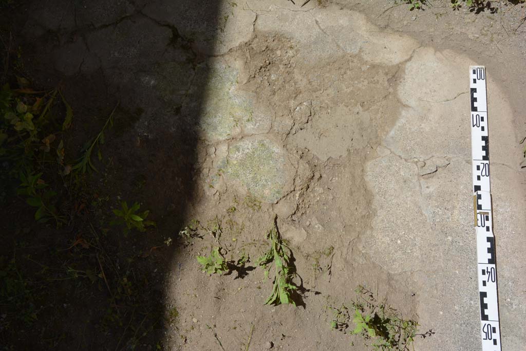 IX.5.11 Pompeii. May 2017. Room d, detail of flooring near west wall. 
Foto Christian Beck, ERC Grant 681269 D�COR.


