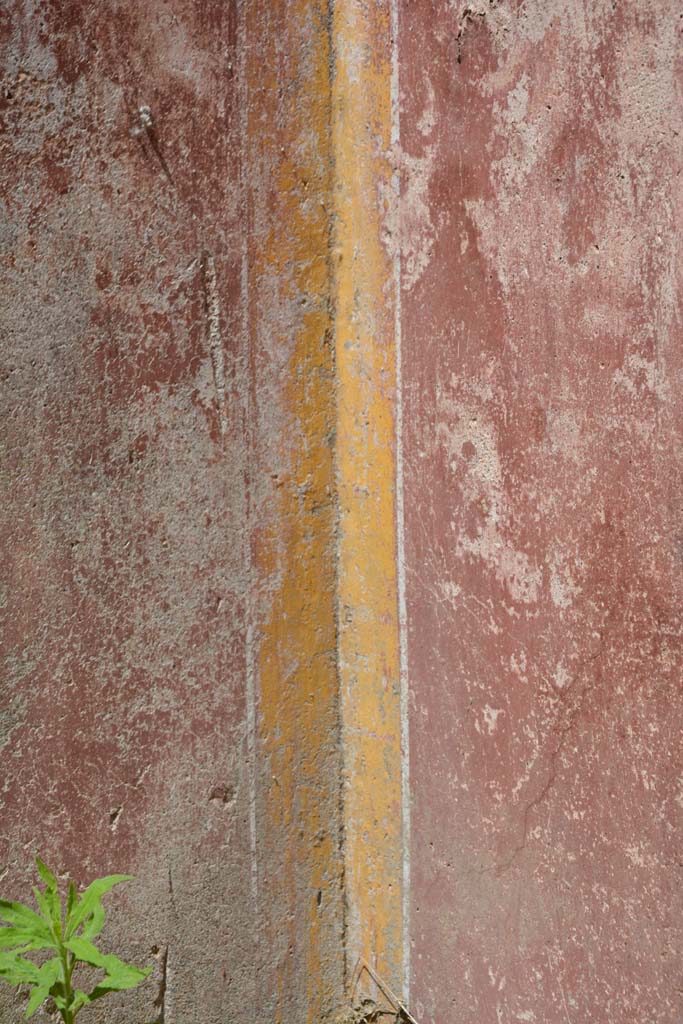 IX.5.11 Pompeii. May 2017. Room c, detail of painted decoration in north-west corner.      
Foto Christian Beck, ERC Grant 681269 D�COR

