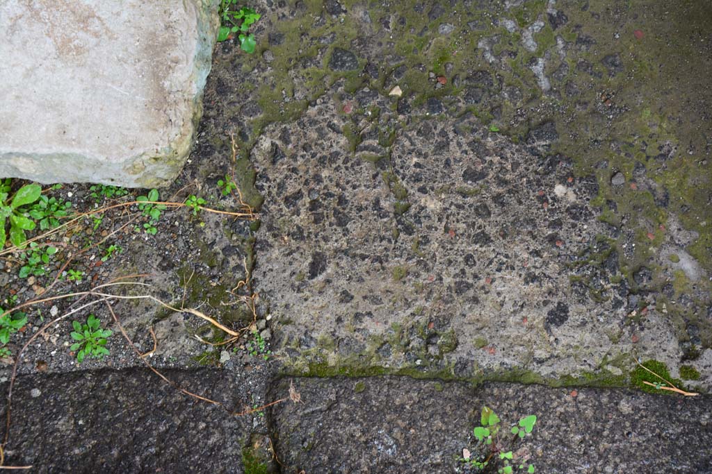 IX.5.11 Pompeii. March 2017. Room m, detail of flooring at north end, looking south.
Foto Christian Beck, ERC Grant 681269 D�COR.

