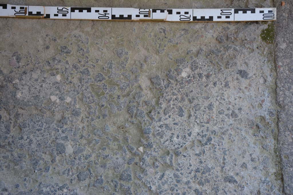 IX.5.11 Pompeii. May 2017. Room m, detail of flooring near doorway threshold at north end. 
Foto Christian Beck, ERC Grant 681269 D�COR.


