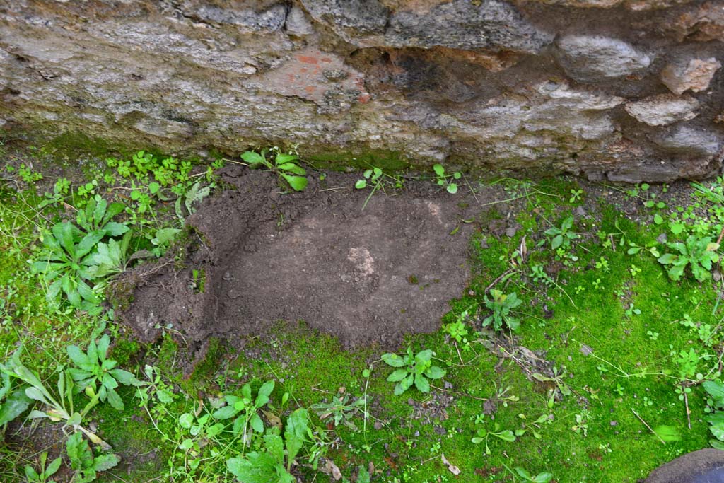 IX.5.11 Pompeii. March 2017. Room u, detail from near south wall.
Foto Christian Beck, ERC Grant 681269 D�COR.

