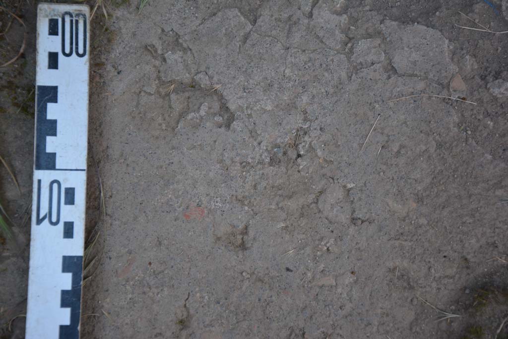 IX.5.11 Pompeii. May 2017. Room o, detail of flooring.
Foto Christian Beck, ERC Grant 681269 D�COR.
