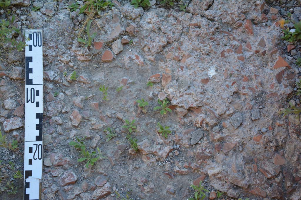 IX.5.11 Pompeii. May 2017. Room h, detail of flooring.
Foto Christian Beck, ERC Grant 681269 D�COR.

