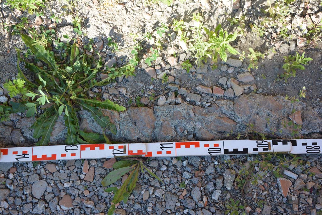 IX.5.11 Pompeii. May 2017. Room h, detail of flooring.
Foto Christian Beck, ERC Grant 681269 D�COR.

