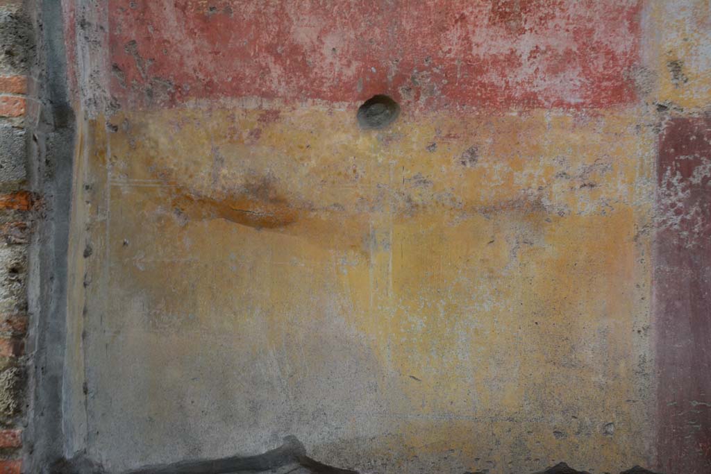 IX.5.11 Pompeii. March 2017. Room i, detail of zoccolo on north wall at west end.
Foto Christian Beck, ERC Grant 681269 D�COR.

