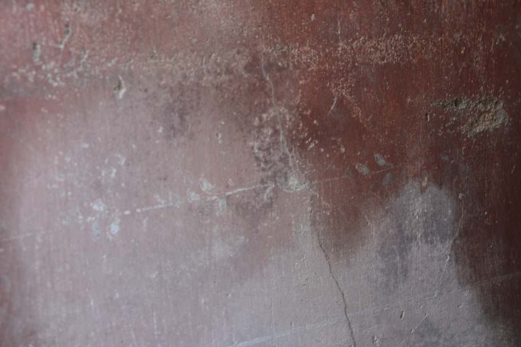 IX.5.11 Pompeii. March 2017. Room i, detail of zoccolo from centre of north wall. 
Foto Christian Beck, ERC Grant 681269 D�COR.
