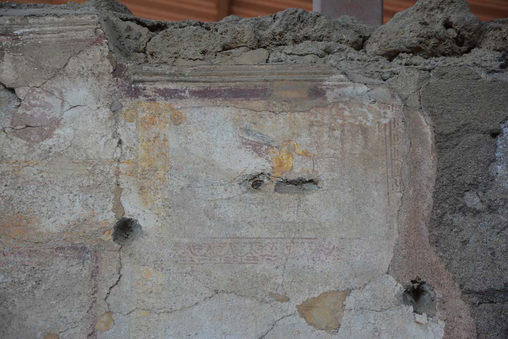 IX.5.11 Pompeii. May 2017. Room i, detail of painted swan from upper centre of west wall.
Foto Christian Beck, ERC Grant 681269 D�COR.
