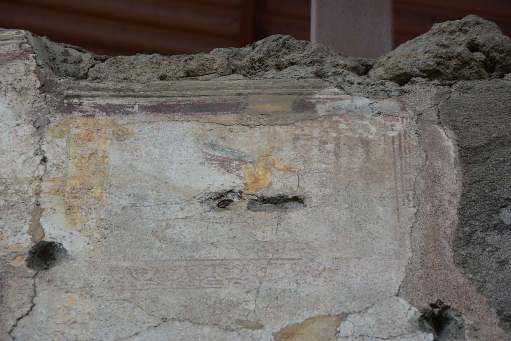 IX.5.11 Pompeii. March 2017. Room i, detail of painted swan and painted decoration from upper centre of west wall.
Foto Christian Beck, ERC Grant 681269 D�COR.
