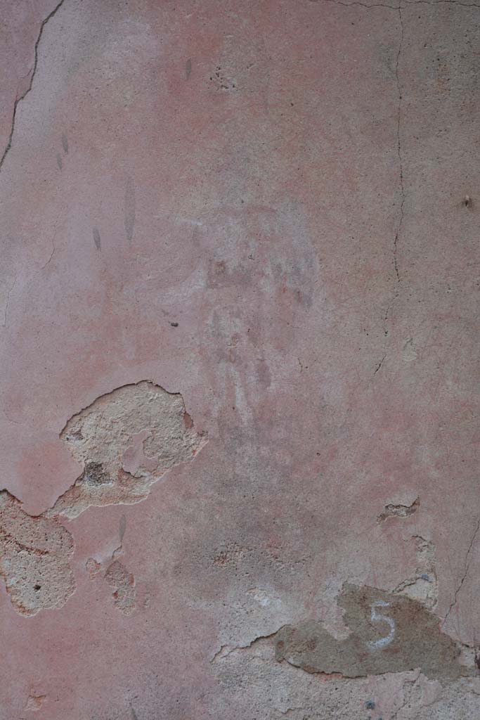 IX.5.11 Pompeii. March 2017. Room I (L), central figure of warrior from north end of east wall.
Foto Christian Beck, ERC Grant 681269 D�COR.
