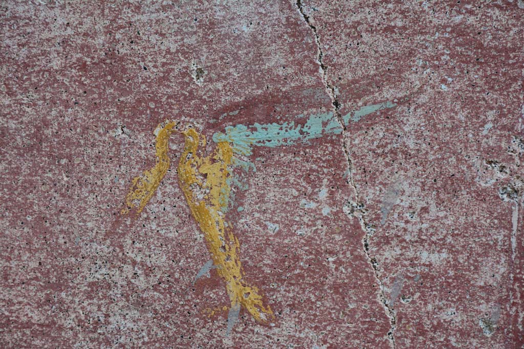 IX.5.11 Pompeii. March 2017. Room I (L), detail of painted swan from zoccolo on east wall.
Foto Christian Beck, ERC Grant 681269 D�COR.

