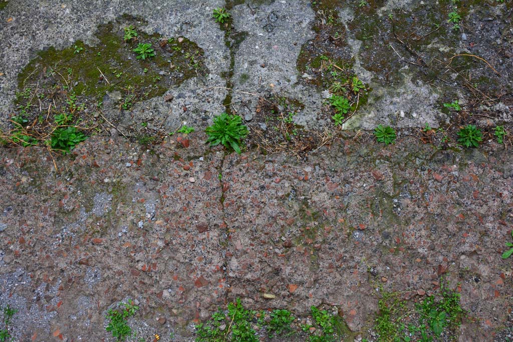 IX.5.11 Pompeii. March 2017. Room l (L), looking north towards change of flooring between tablinum, below, and atrium, above.  
Foto Christian Beck, ERC Grant 681269 D�COR.
