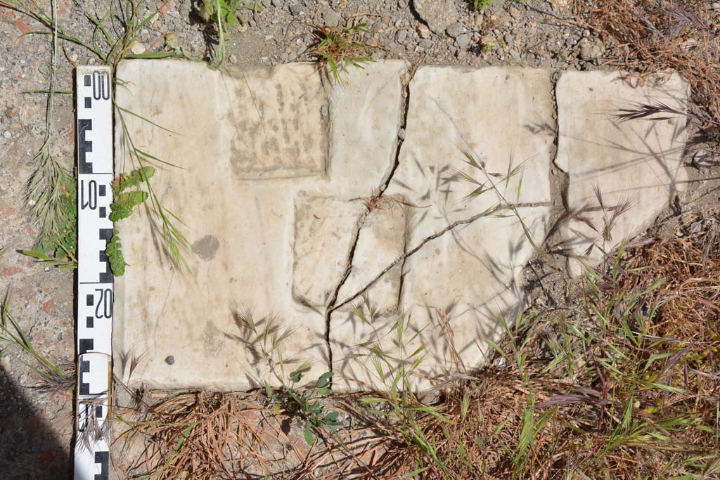IX.5.11 Pompeii. May 2017. Room l (L), detail of marble threshold on south end of tablinum.
Foto Christian Beck, ERC Grant 681269 D�COR.
