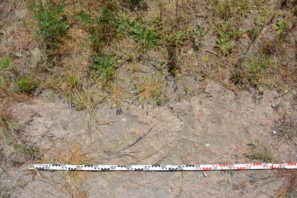 IX.5.11 Pompeii. May 2017. Room l (L), detail of flooring at south end of tablinum.
Foto Christian Beck, ERC Grant 681269 D�COR.
