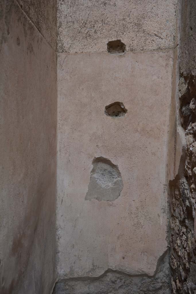 IX.5.12 Pompeii. May 2017. Detail from lower south wall.
Foto Christian Beck, ERC Grant 681269 D�COR.

