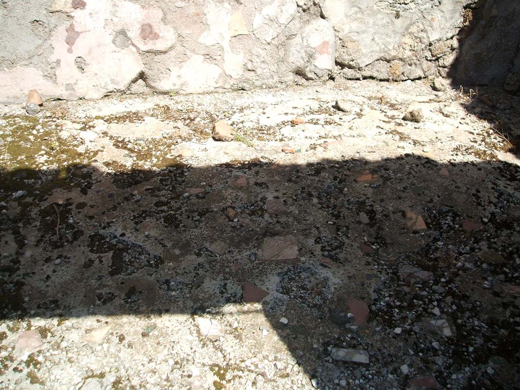 IX.5.14 Pompeii. May 2005. Cubiculum �L�, detail of floor.
Looking north through doorway to cubiculum �L�, on north side of portico.
The cocciopesto floor was scattered with limestone flakes. 
The zoccolo of this room would have been painted to show a pattern of false marble.
In the centre of the north wall were the remains of a painting of Narcissus on a red background, the side panels were yellow. 
The upper zone of the wall was also red.
On the east wall, but almost completely lost, was a painting showing a sleeping Maenad surprised by a Satyr.
This wall also had a painted false marble zoccolo, central red panel and on the yellow side panels were painted medallions.
On the south wall, with a similar painted zoccolo, but on a yellow middle zone were the remains of a painting with fishes.
On the west wall, the middle of the wall was painted with yellow panels containing medallions showing two birds eating; a stretched garland was seen on a red panel.
See Notizie degli Scavi di Antichit�, 1878, p. 185.
See Bullettino dell�Instituto di Corrispondenza Archeologica (DAIR), 1879, p. 265.
